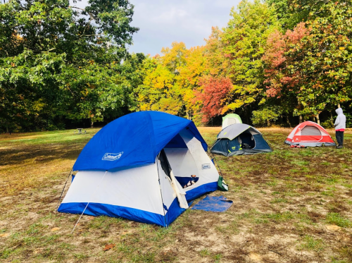 A blue and white tent in a campsite surrounded by colorful autumn trees and another tent in the background.