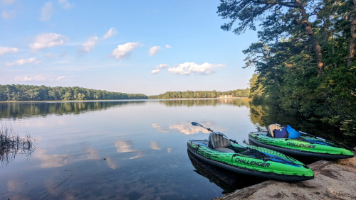 Two green kayaks are parked on a sandy shore by a calm lake, surrounded by trees and a clear blue sky.