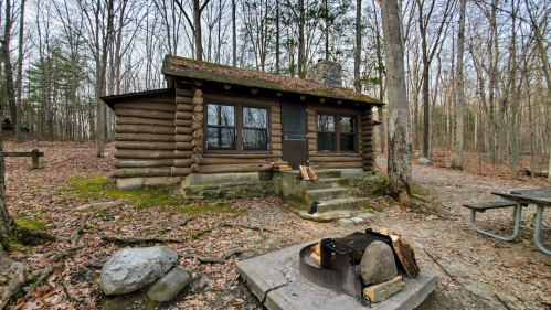 A rustic log cabin surrounded by trees, with a stone fire pit and picnic table in a wooded area.