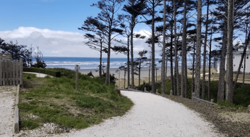 A winding path through trees leads to a beach with waves and clouds in the background.