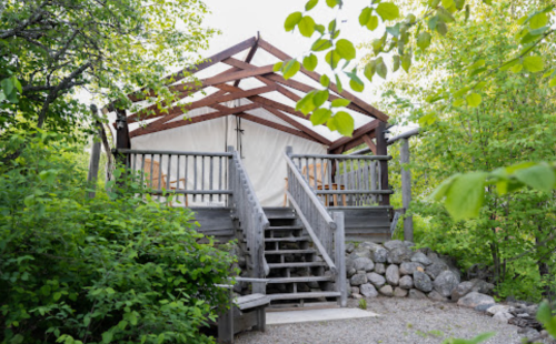 A rustic cabin with a wooden frame and stairs, surrounded by lush greenery and rocks.