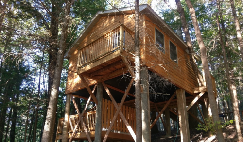 A wooden treehouse elevated on stilts, surrounded by tall trees in a forested area.
