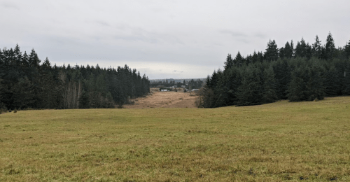 A wide grassy field bordered by dense evergreen trees, leading to a distant view of a small settlement under a cloudy sky.