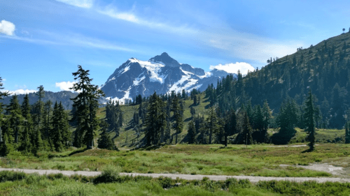 A scenic view of a snow-capped mountain surrounded by lush green trees and a clear blue sky.