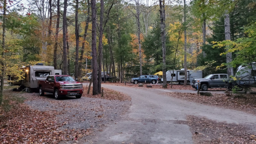 A serene RV campsite surrounded by trees, with several parked RVs and a gravel road winding through autumn foliage.