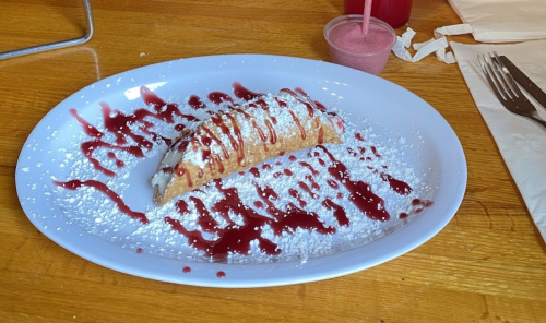 A dessert plate featuring a pastry drizzled with raspberry sauce and dusted with powdered sugar.