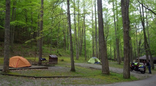 A serene campsite in a lush green forest, featuring two tents, picnic tables, and a nearby shelter.