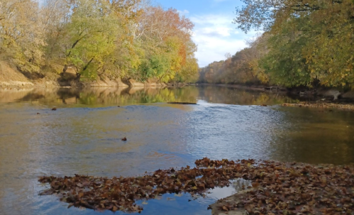 A serene river scene surrounded by trees with autumn foliage and fallen leaves along the water's edge.