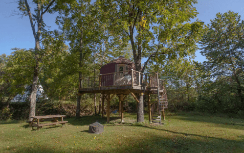 A treehouse perched in a large tree, surrounded by greenery and a picnic table on the ground below.