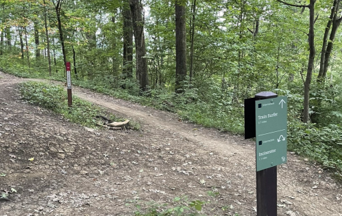 A fork in a wooded trail with signs indicating directions for "Trail Bucker" and "Intermediate" paths.