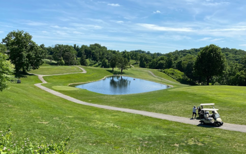 A scenic golf course with a pond, trees, and a golf cart on a sunny day.