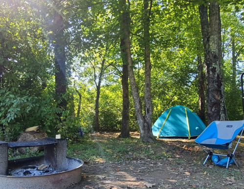 A campsite with a blue tent, a fire pit, and a camping chair surrounded by trees and greenery.