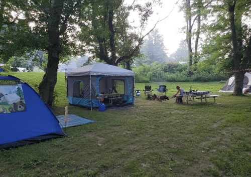 A campsite with two tents, a picnic table, and a person sitting near a dog, surrounded by trees.
