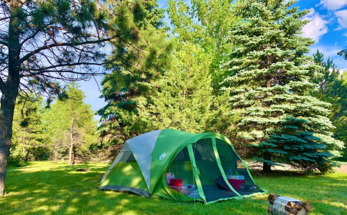 A green camping tent set up in a lush, green forest with tall trees and a clear blue sky.