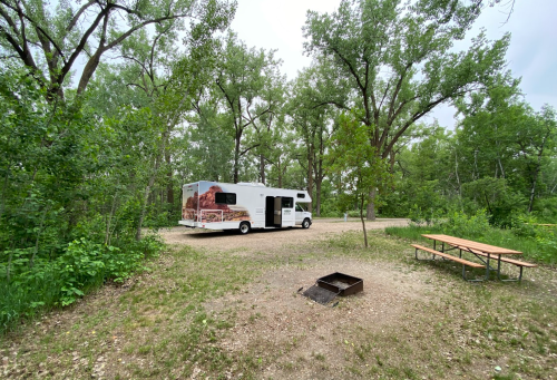 A white RV parked in a wooded campsite with a picnic table and fire pit nearby.