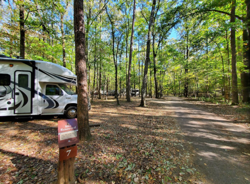 A serene campsite in a wooded area with an RV parked beside a reserved sign and a clear path through the trees.