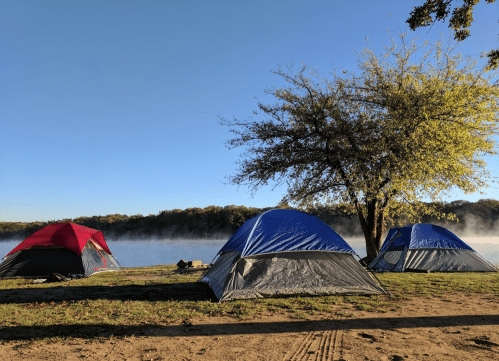 Three tents by a calm lake, with a tree nearby and mist rising from the water under a clear blue sky.