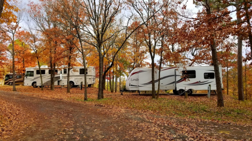 Two RVs parked along a dirt road surrounded by trees with vibrant autumn leaves.