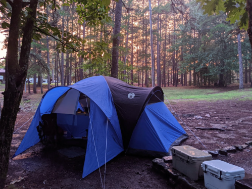 A blue and black tent set up in a wooded area at sunset, with coolers nearby and trees in the background.