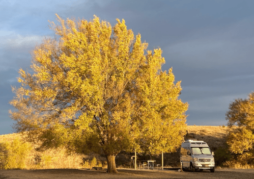 A golden tree stands beside a silver van, with a picnic table in a serene outdoor setting under a cloudy sky.