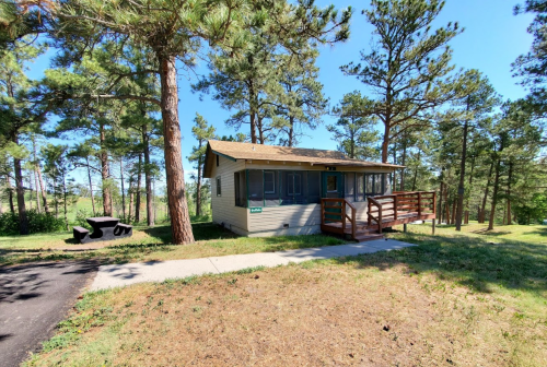 A small cabin surrounded by tall pine trees, with a wooden deck and a path leading to it.