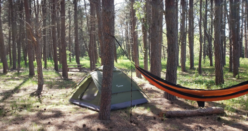 A green tent and an orange hammock set up among tall trees in a sunny forest clearing.