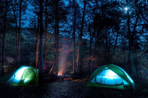 Two green tents illuminated at night, surrounded by trees, with a campfire glowing in the background.