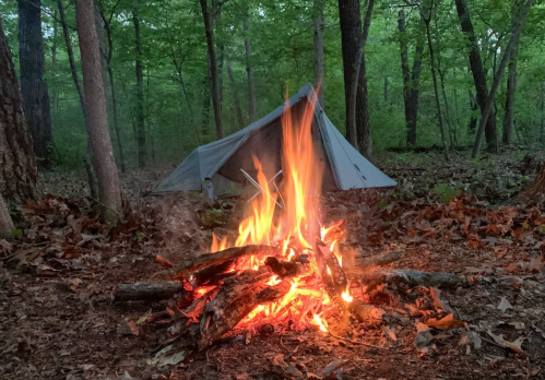 A campfire burns brightly in the foreground, with a tent set up among green trees in a wooded area.