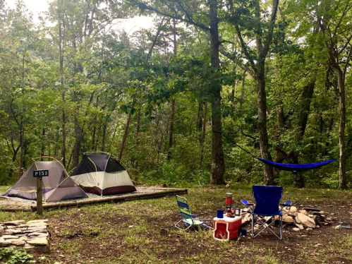 A campsite with two tents, a hammock, and a picnic setup surrounded by trees in a wooded area.