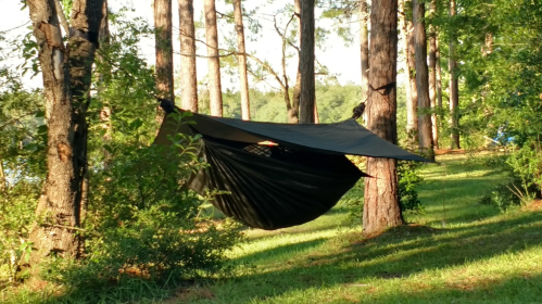A black hammock is suspended between two trees in a lush green forest setting.