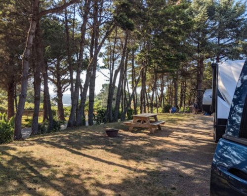 A serene campsite surrounded by tall trees, featuring a picnic table and a view of the distant landscape.