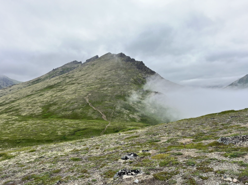A misty mountain landscape with a grassy slope and a winding path leading up the peak under a cloudy sky.