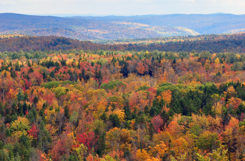 A vibrant autumn landscape with a mix of red, orange, and green trees stretching across rolling hills.