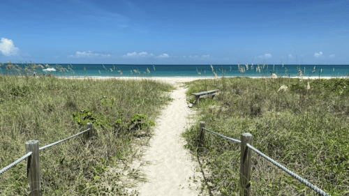 A sandy path leads through tall grass to a serene beach with turquoise waters and a clear blue sky.
