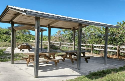 A shaded picnic area with wooden tables and benches, surrounded by greenery and a clear blue sky.
