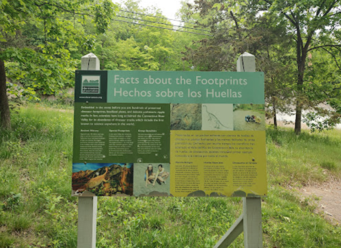 Sign with information about the Footprints, featuring text in English and Spanish, surrounded by greenery.