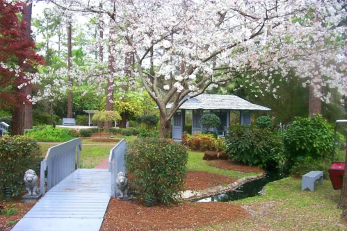 A serene garden scene featuring a wooden bridge, blooming cherry trees, and a gazebo surrounded by lush greenery.