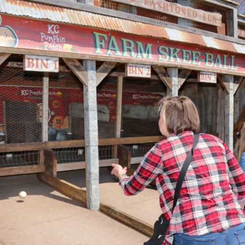 A person in a plaid shirt plays farm skee-ball at a pumpkin patch, aiming for one of the scoring bins.