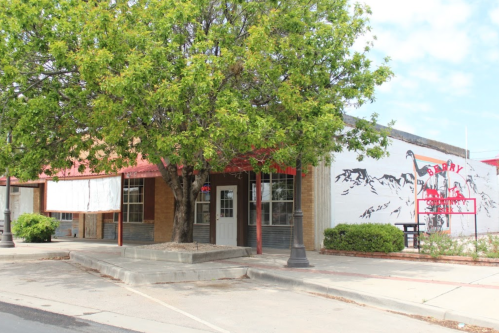 A building with a large tree in front, featuring a mural and a sign that reads "Library" on the side.