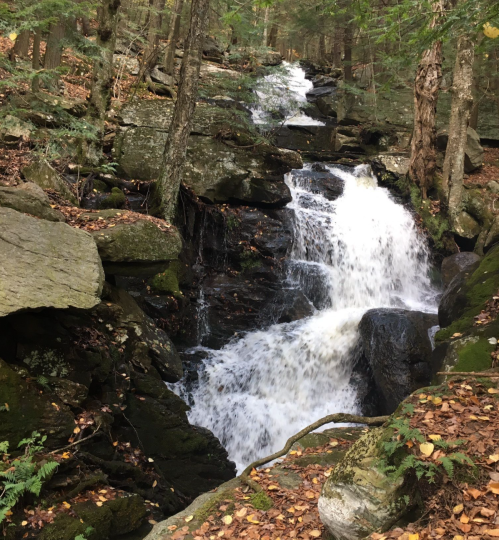 A cascading waterfall flows over rocks, surrounded by lush greenery and autumn leaves in a serene forest setting.
