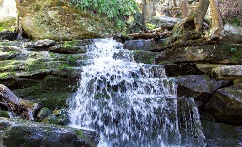 A serene waterfall cascading over moss-covered rocks in a lush forest setting.