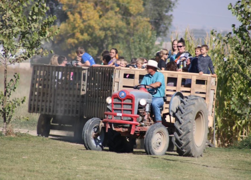 A tractor pulls a wooden wagon filled with children and adults through a grassy field on a sunny day.