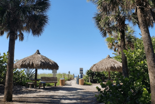 Pathway leading to the beach, framed by palm trees and thatched huts under a clear blue sky.