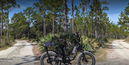 A black electric bike parked on a sandy path surrounded by tall pine trees and lush greenery.