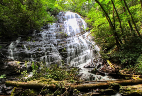 A serene waterfall cascades down rocky terrain, surrounded by lush green trees and fallen logs.