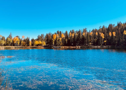 A serene lake surrounded by trees with golden autumn leaves under a clear blue sky.