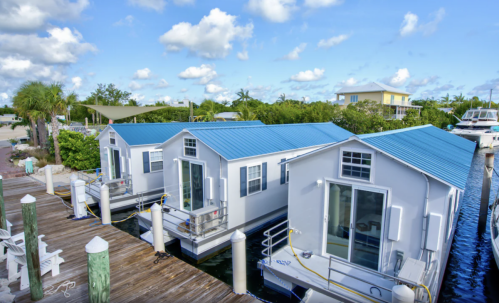 Two white houseboats with blue roofs docked at a marina, surrounded by palm trees and a clear blue sky.