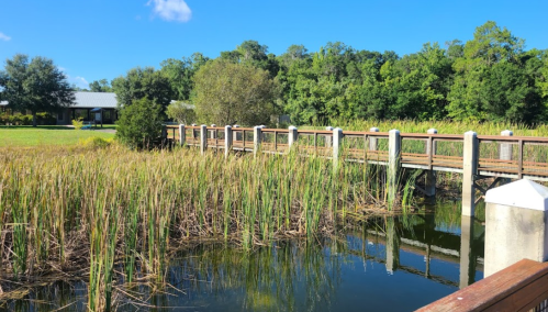 A wooden bridge over a calm waterway, surrounded by tall grasses and lush greenery under a clear blue sky.