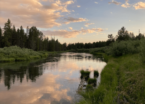 A serene river reflects the sky at sunset, surrounded by lush greenery and trees.