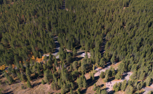 Aerial view of a dense forest with winding roads and a few clearings among the trees.